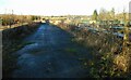 NS5287 : Bridge over the Endrick Water by Richard Sutcliffe