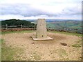 SY4092 : Triangulation pillar, Golden Cap by Adrian Taylor