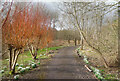 SU4073 : Path in Welford Park by Des Blenkinsopp