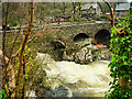 SH7956 : Betws-y-Coed, Pont-y-Pair Bridge and Rapids by David Dixon