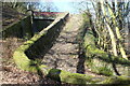 SO2606 : Bridleway up to Snail Creep Bridge by M J Roscoe