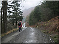 NT3734 : Forest road to Glenbenna by Jim Barton