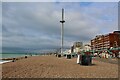 TQ3004 : Brighton i360 by Lauren