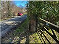 NY1001 : Sandstone gatepost, Force Bank by Adrian Taylor