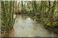 SX8499 : River Yeo from Kersford Bridge by Derek Harper