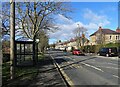 NZ1647 : Bus stop on Durham Road by Robert Graham