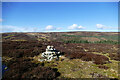 NZ0631 : Random cairn by footpath on Hamsterley Common by Andy Waddington