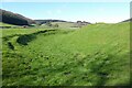 SO3677 : Earthworks at Hopton Castle by Philip Halling