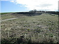 SE9570 : Cleared  out  pit  and  workings  near  Helperthorpe by Martin Dawes