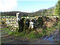 SD4973 : Boundary Stone near Manor House Farm by Adrian Taylor