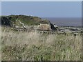 ST0743 : Small promontory at Helwell Bay, seen from the West Somerset Railway by Ruth Sharville