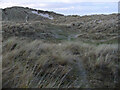 NZ2796 : Paths in the dunes, Druridge Bay by Jim Barton