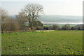 SX9074 : Field by Bishopsteignton Cemetery by Derek Harper