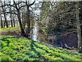 SK5012 : The moat at Ulverscroft Priory by Ian Calderwood