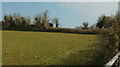 SX9056 : Field, Churston by Derek Harper