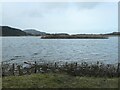 SH8076 : Island in the eastern lagoon, RSPB Conwy by Christine Johnstone