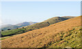 SD6493 : Bracken on Winder by Trevor Littlewood