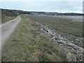 SH7976 : Salt marsh, east bank, Conwy estuary by Christine Johnstone