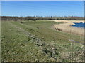 SE4202 : Floodbank, RSPB Old Moor by Christine Johnstone