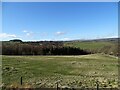 NZ0749 : Countryside view to the west from the A68 by Robert Graham