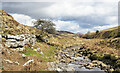 NY9734 : Small crag beside Bollihope Burn by Trevor Littlewood