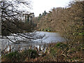 SO7589 : The Wall Pool in Comer Wood near Quatt, Shropshire by Roger  D Kidd