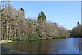 SO7589 : The Wall Pool in Comer Wood near Quatt, Shropshire by Roger  D Kidd