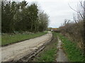 TA0369 : Snowdrops (1)  country  lane  out  of  Octon by Martin Dawes