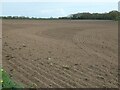 SE8434 : Patterns in the soil, near Wholsea Grange by Christine Johnstone