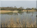 ST4240 : Shapwick Heath - Decoy Lake by Colin Smith