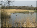 ST4240 : Shapwick Heath - Decoy Lake by Colin Smith