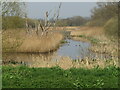 ST4340 : Avalon Marshes - Meare Heath by Colin Smith