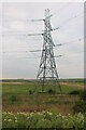 TQ5380 : Pylon on Rainham Marshes, Wennington by David Howard