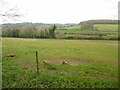 TQ0098 : View towards Latimer from Coney Wood by David Hillas