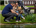 SE8048 : Feeding the fish, Burnby Hall Gardens by Paul Harrop