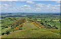 SJ3113 : Bulthy Hill viewed from Middletown Hill by Mat Fascione