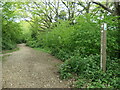 SU4511 : Shoreburs Greenway waymark post by Christine Johnstone