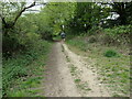 SU4511 : Jogger, Shoreburs Greenway by Christine Johnstone