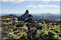 SO3698 : Rock outcrop on the Stiperstones by Mat Fascione