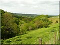 SE0618 : View of Bottomley Clough from Bottomley Lane, Barkisland by Humphrey Bolton