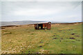 NY9743 : Decaying railway goods van provides little shelter by Andy Waddington