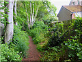 NT9250 : Path in Toft's Plantation, Horncliffe by Jim Barton