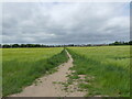 TG2929 : Weavers Way Footpath leading to Thirlby Road by David Pashley