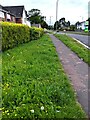 ST3091 : Buttercups on unmown grass, Malpas, Newport by Jaggery