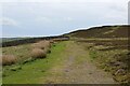 NZ0136 : Weardale Way below Hillend Quarry by Chris Heaton