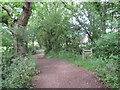 TQ1130 : Downs Link approaching Slinfold by Malc McDonald