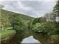 SD9574 : The River Wharfe at Starbotton by Chris Holifield