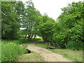 TQ0947 : Bridge over Tilling Bourne near Abinger Hammer by Malc McDonald