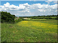 ST9382 : View from Cabbage Lane towards Bottom Farm by Vieve Forward