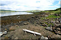 NM6542 : Looking across Sgeir Mhòr to the Sound of Mull by Andy Waddington